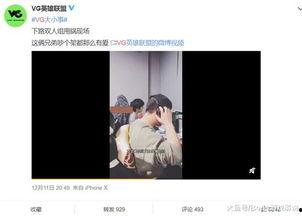 刘先生爆料视频播放,揭秘事件背后惊人真相  第3张